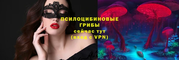 СК Бородино