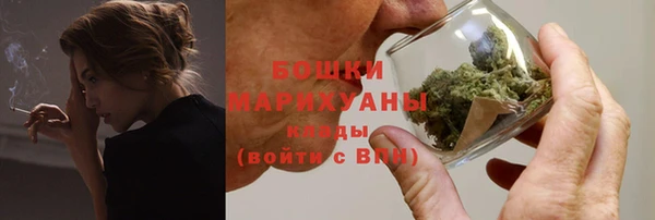 индика Верхний Тагил