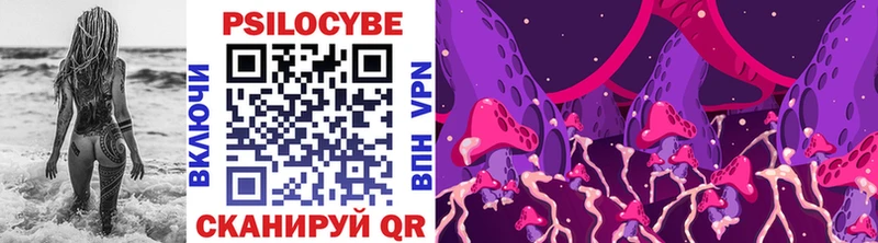 цена   Уссурийск  Галлюциногенные грибы GOLDEN TEACHER 